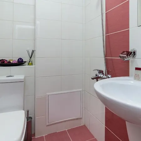 호텔 Family Madrid *