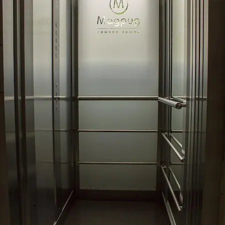 Family Madrid Hotel *