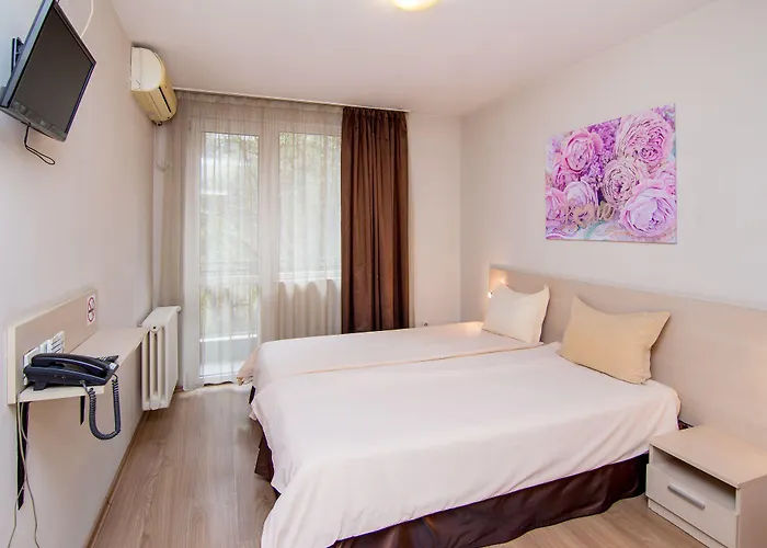 Family Madrid 酒店 索菲亞