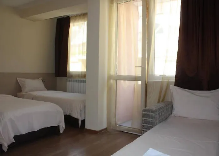 Family Madrid ソフィア